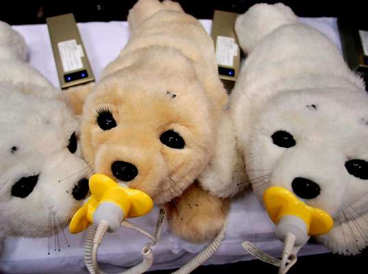 Robot Animal Therapy