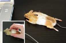 Tech-Savvy Taxidermy