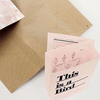 Origami for Dummies Image 3