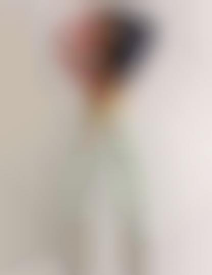 Patriotic Photoshoots