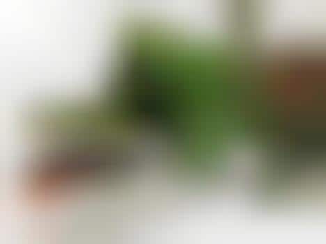 Old-School Steam Toys