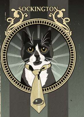 Feline Twitter Stars