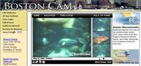 Globe-Trotting Webcams Image 4