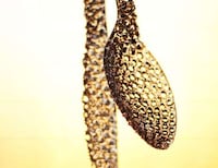 Illuminated Spoons Image 4