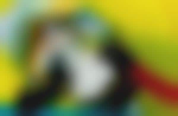 Color Pop Paintography