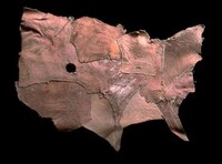 Horrific Human Skin Art Image 2