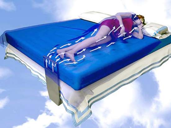 Bed Fans