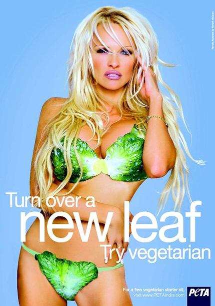40 Bizarre Bikinis