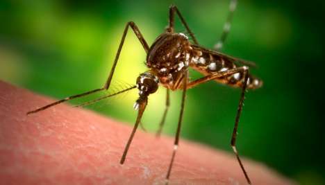 11 Innovations in Bug Relief