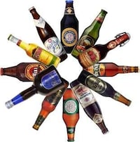 Shocking Liquor Studies Image 3