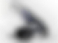 Remote Brakes for Buggies Image 1