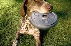 Flying Free-Weight Discs