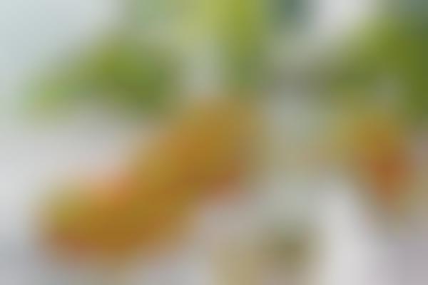 Cold Pressed Avocado Oils