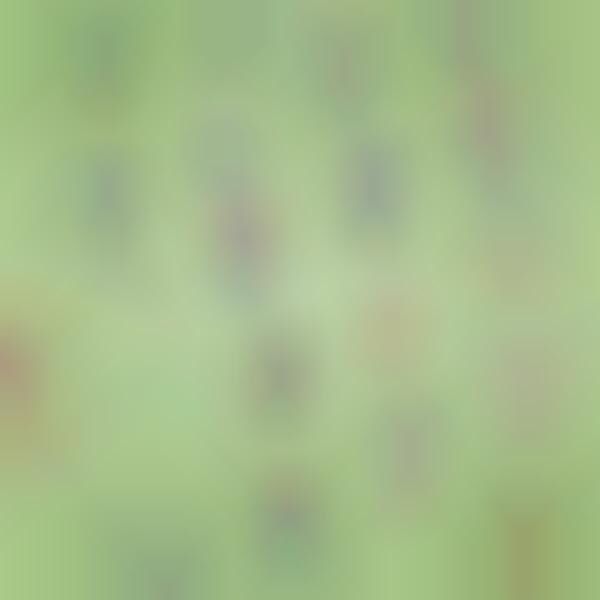 AR Social Distancing Reminders