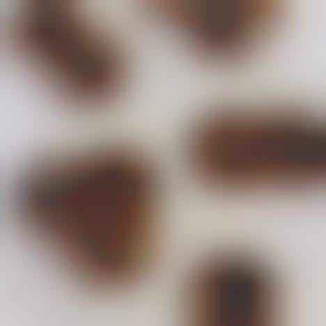 Artisan Mushroom Biscuits