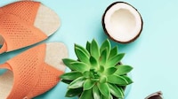 Eco-Friendly Sandal Clogs Image 2
