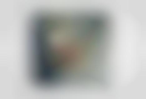 Wilderness Exploration Cocktail Books