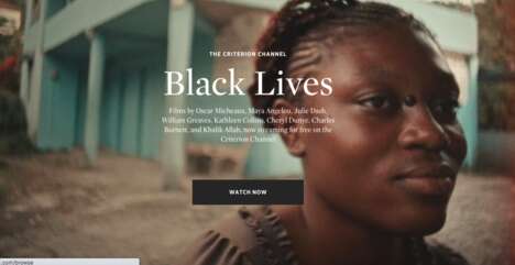 Black Filmmaker Collections