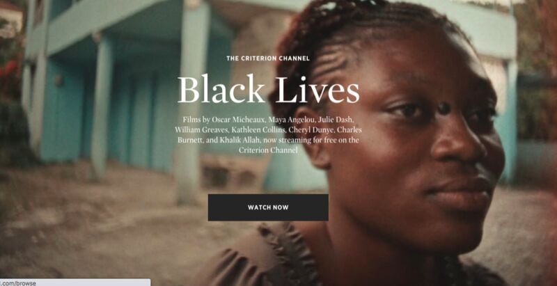 Black Filmmaker Collections