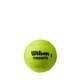 Sustainable Tennis Ball Designs Image 1