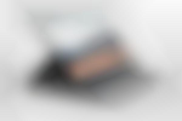 Hybrid Dual-Hinge Laptops