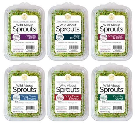 Nutritious Full-Flavor Sprouts