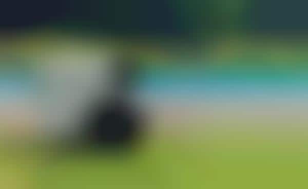 AI-Powered Lawn Care Robots
