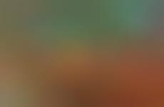 Individual Oval Crust Pizzas