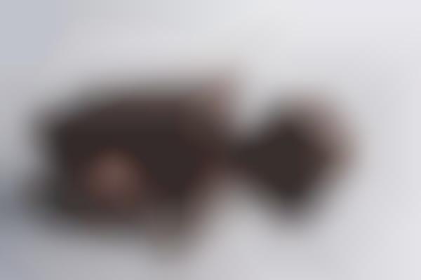 Protein-Packed Chocolate Coatings