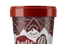 Kefir Ice Creams