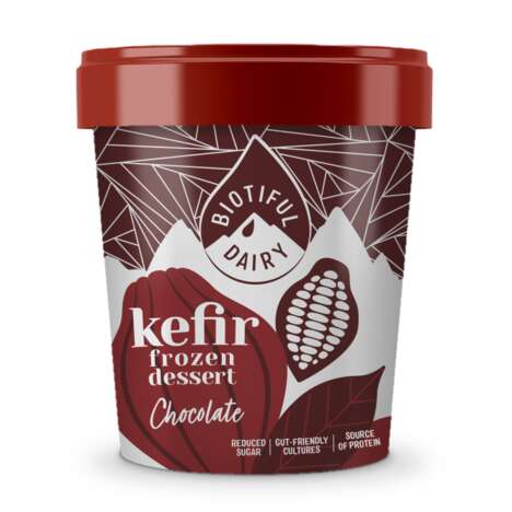 Kefir Ice Creams