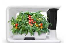 Connected Automated Smart Gardens