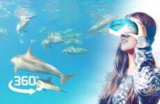 VR Dolphin Experiences