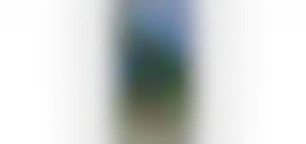 AR Sunglasses Experiences