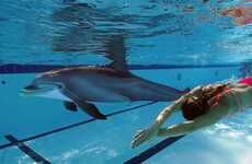Swimming Dolphin Robots