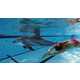 Swimming Dolphin Robots Image 1