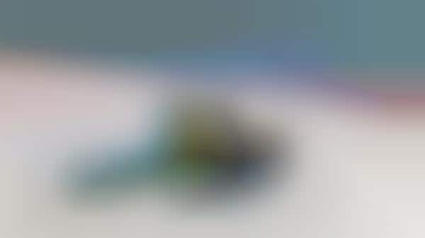 Customizable Graduate Rings