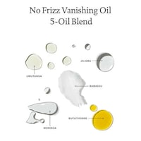 Lightweight Anti-Frizz Oil Blends Image 2