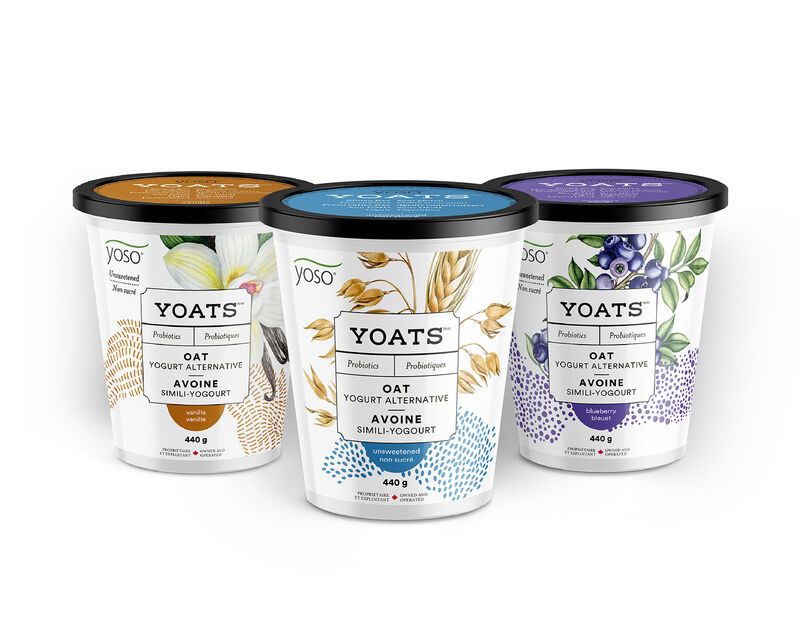 Artisan Oat Milk Yogurts