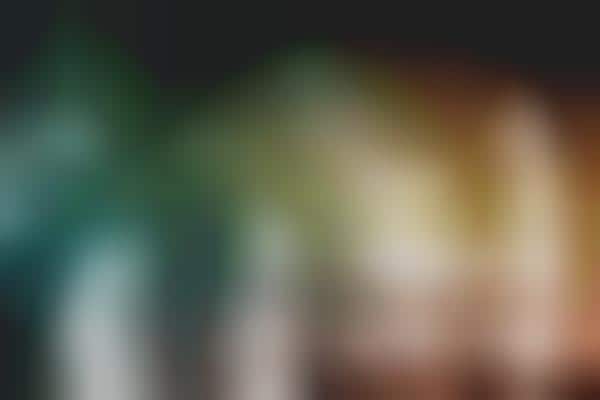 Virtual Assisting Bank Chatbots