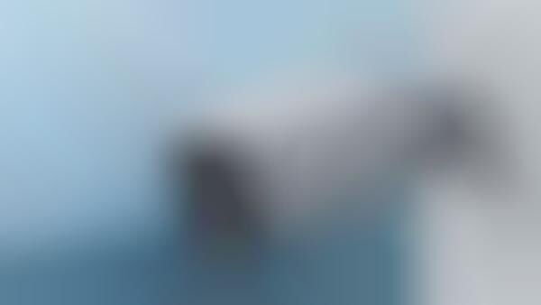 Exterior 2K Resolution Cameras