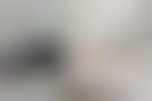 Discreet Biometric Security Locks : biometric door lock