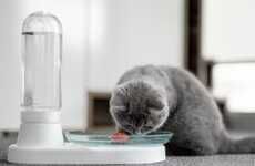 Nonelectric Feline Water Fountains