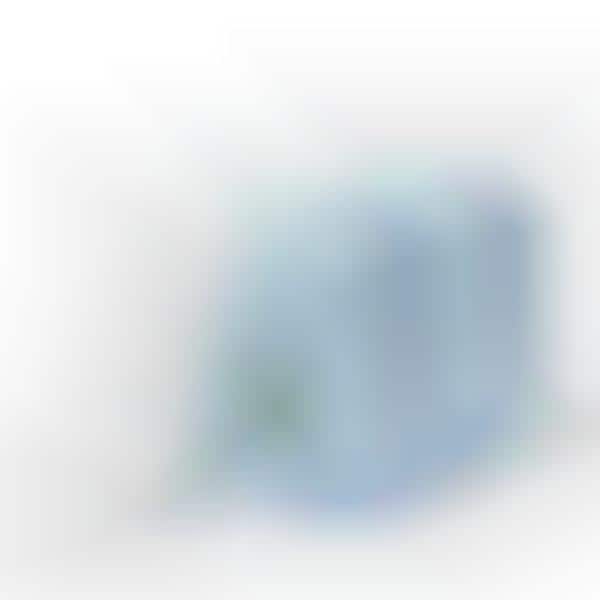 Organic Incontinence Liners