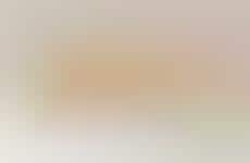 Dual-Purpose Wicker Pet Sofas