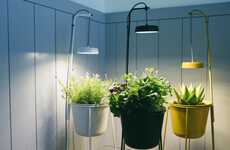 Biophilic Design Plant Holders