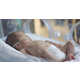 Sleep-Supporting Preemie Diapers Image 1