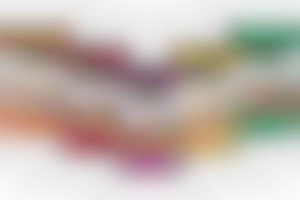 butchers superior dog food asda