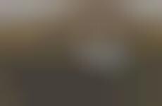 Emissions-Free Glamping Trailers