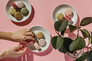 Digital Sweets-Focused Festivals